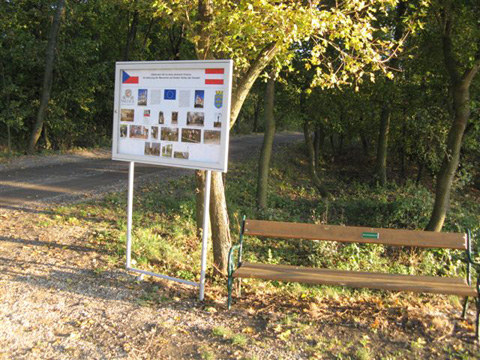 Foto 31